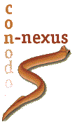 con-nexus