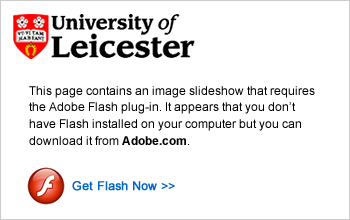 Get Adobe Flash Plug-in
