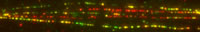 Extended DNA fibres from Drosophila nuclei showing junctions between non-homologous satDNA sequences