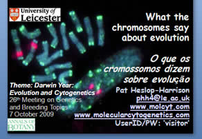 Title for talk on Chromosomes and Evolution