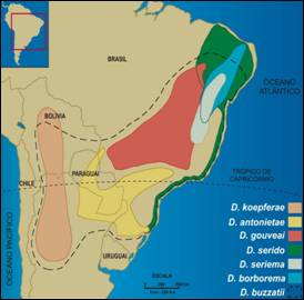 Drosophila buzzatii distribution in Brazil