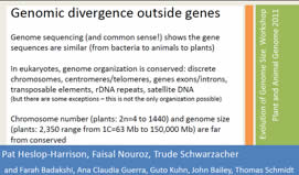Lecture title: Genomic divergence outside genes