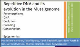 Lecture title: Musa Banana Repetitive DNA