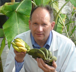Bananas & Pat Heslop-Harrison in greenhouse, University of Leicester