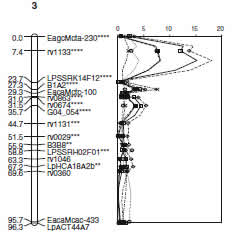 QTL for Biomass on Lolium Chromosome 3 Anhalt et al. 2009