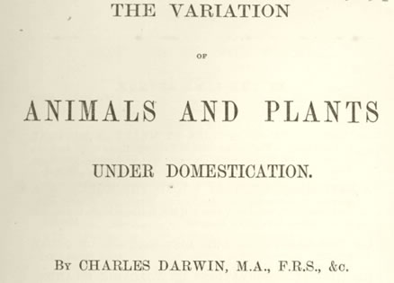 Title page of Charles Darwin The Variation of Animals and Plants under Domestication