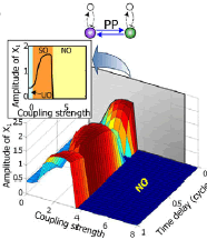 Synchronization of oscillations by coupling PP oscillators