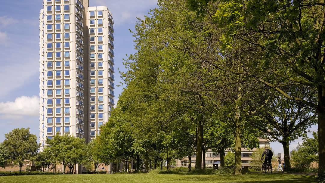 Outside view of the Attenborough tower from the park