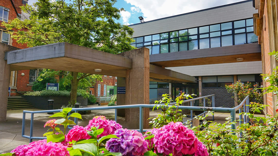 Outside view of the Museum Studies Building