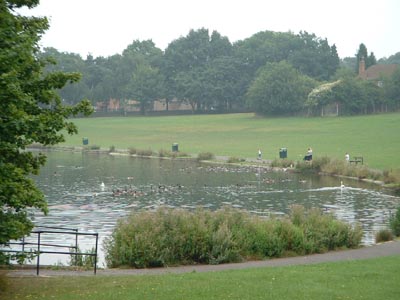 Braunstone Park