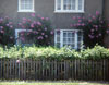 Boot houses in Braunstone