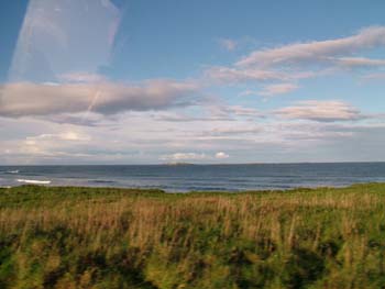 Farne Islands